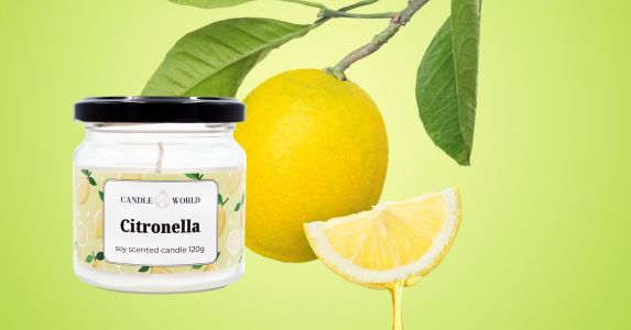 Anti-smoke candles Citronella - how to choose them and why should you have them in the summer?